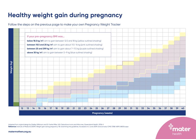 Weight Gain While Chart